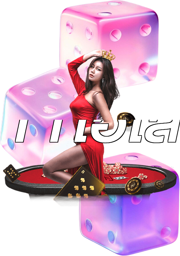 11ไฮโล